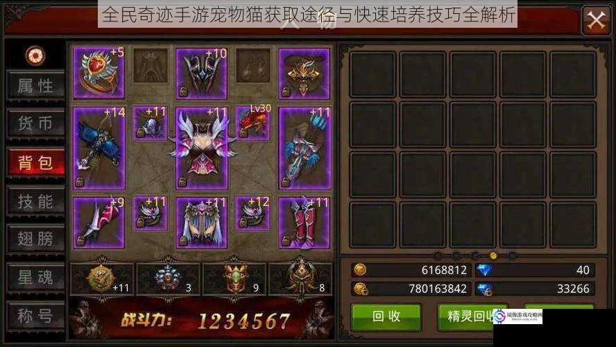 全民奇迹手游宠物猫获取途径与快速培养技巧全解析