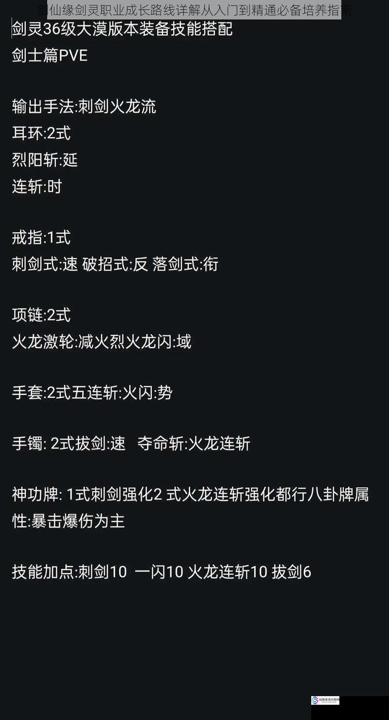剑仙缘剑灵职业成长路线详解从入门到精通必备培养指南