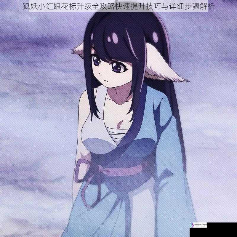 狐妖小红娘花标升级全攻略快速提升技巧与详细步骤解析