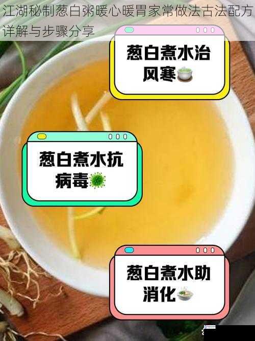 江湖秘制葱白粥暖心暖胃家常做法古法配方详解与步骤分享