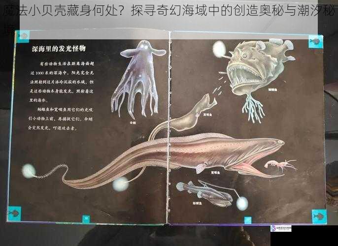 魔法小贝壳藏身何处?探寻奇幻海域中的创造奥秘与潮汐秘境