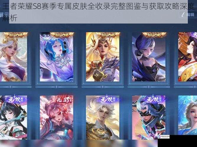 王者荣耀S8赛季专属皮肤全收录完整图鉴与获取攻略深度解析