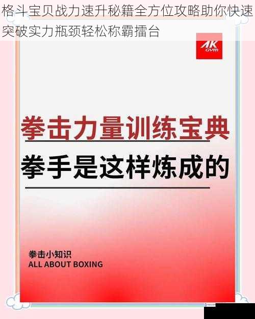 格斗宝贝战力速升秘籍全方位攻略助你快速突破实力瓶颈轻松称霸擂台