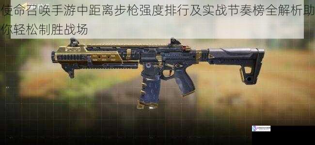 使命召唤手游中距离步枪强度排行及实战节奏榜全解析助你轻松制胜战场