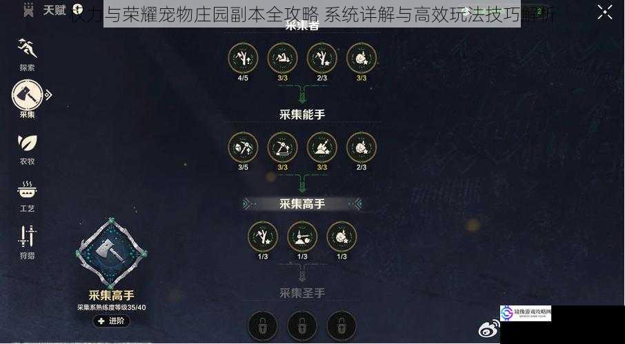 权力与荣耀宠物庄园副本全攻略 系统详解与高效玩法技巧解析