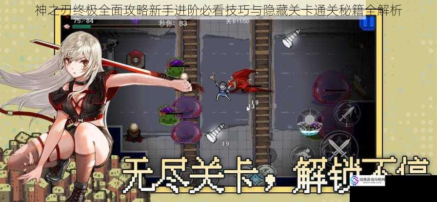 神之刃终极全面攻略新手进阶必看技巧与隐藏关卡通关秘籍全解析