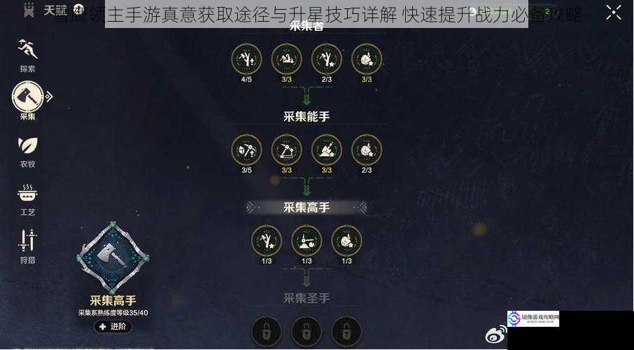 雪鹰领主手游真意获取途径与升星技巧详解 快速提升战力必备攻略
