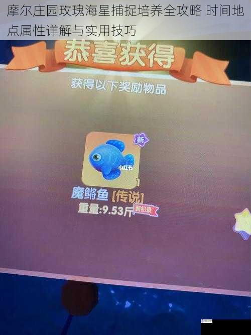 摩尔庄园玫瑰海星捕捉培养全攻略 时间地点属性详解与实用技巧