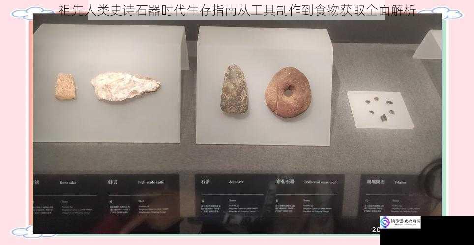 祖先人类史诗石器时代生存指南从工具制作到食物获取全面解析