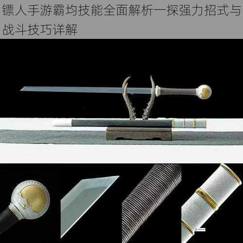 镖人手游霸均技能全面解析一探强力招式与战斗技巧详解