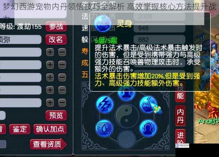 梦幻西游宠物内丹领悟技巧全解析 高效掌握核心方法提升战力