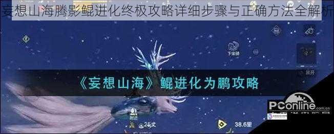妄想山海腾影鲲进化终极攻略详细步骤与正确方法全解析