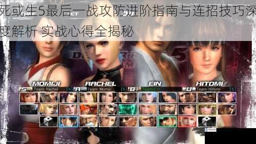 死或生5最后一战攻防进阶指南与连招技巧深度解析 实战心得全揭秘