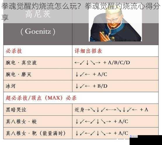 拳魂觉醒灼烧流怎么玩？拳魂觉醒灼烧流心得分享
