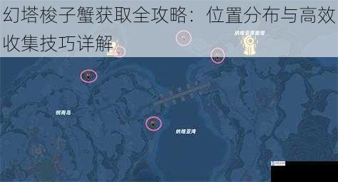 幻塔梭子蟹获取全攻略：位置分布与高效收集技巧详解