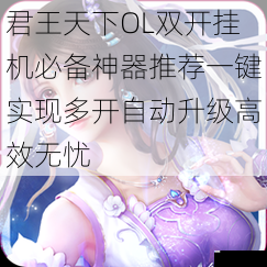 君王天下OL双开挂机必备神器推荐一键实现多开自动升级高效无忧