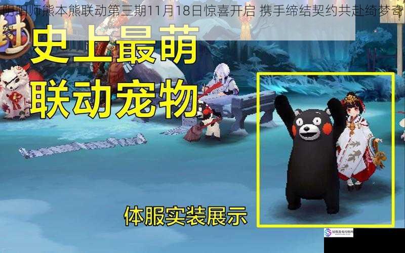 阴阳师熊本熊联动第三期11月18日惊喜开启 携手缔结契约共赴绮梦奇缘