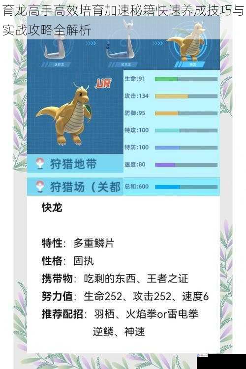 育龙高手高效培育加速秘籍快速养成技巧与实战攻略全解析