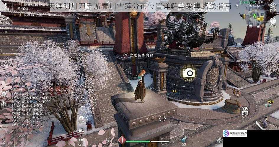 天涯明月刀手游秦川雪莲分布位置详解与采集路线指南