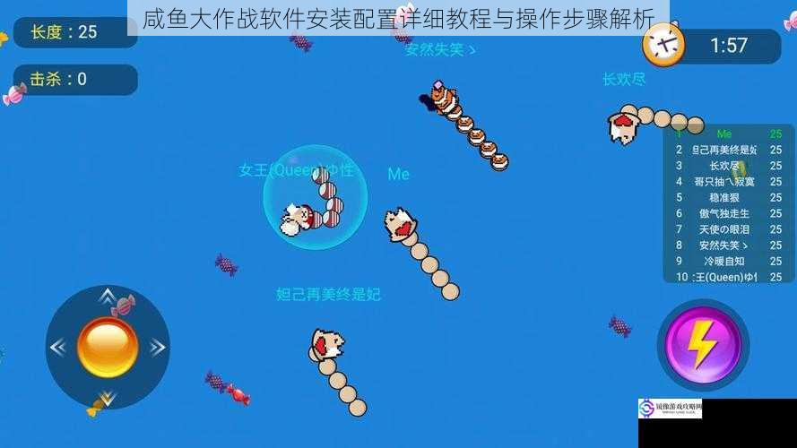 咸鱼大作战软件安装配置详细教程与操作步骤解析
