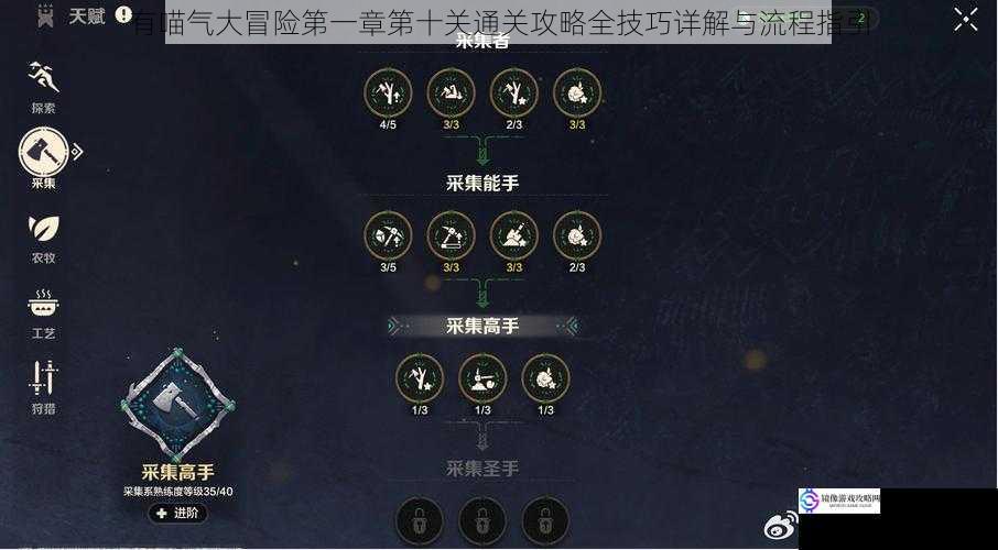 有喵气大冒险第一章第十关通关攻略全技巧详解与流程指引