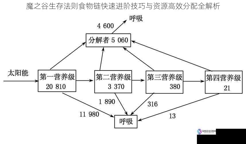 魔之谷生存法则食物链快速进阶技巧与资源高效分配全解析