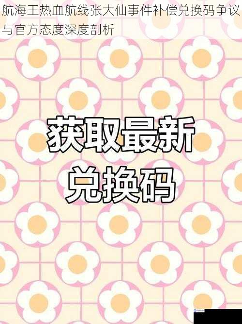 航海王热血航线张大仙事件补偿兑换码争议与官方态度深度剖析
