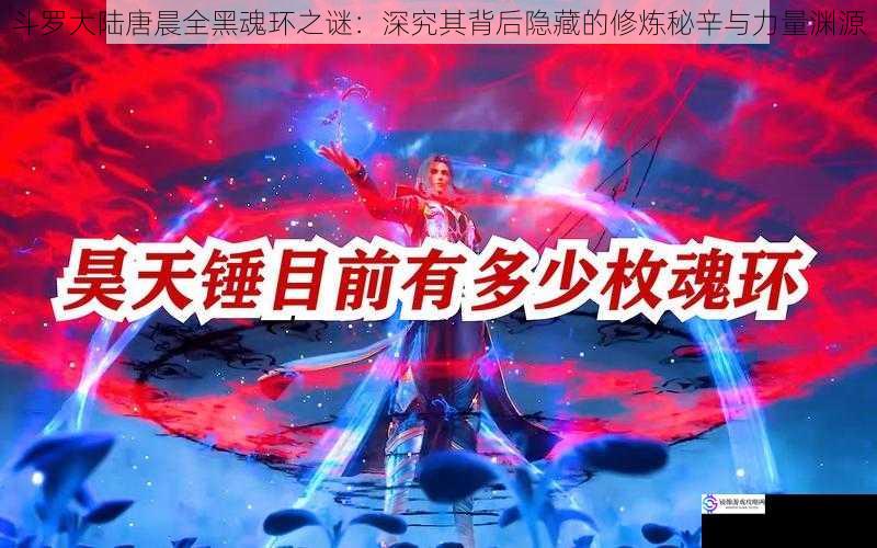斗罗大陆唐晨全黑魂环之谜：深究其背后隐藏的修炼秘辛与力量渊源