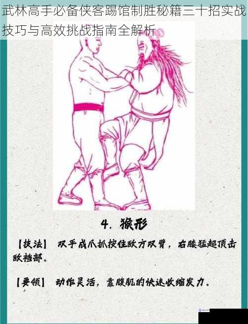 武林高手必备侠客踢馆制胜秘籍三十招实战技巧与高效挑战指南全解析