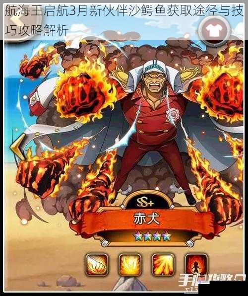 航海王启航3月新伙伴沙鳄鱼获取途径与技巧攻略解析