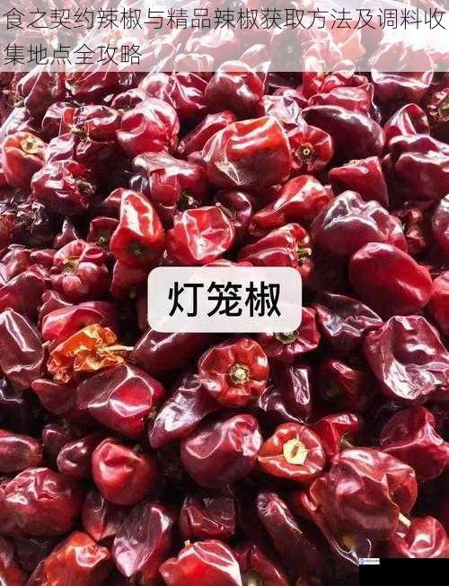 食之契约辣椒与精品辣椒获取方法及调料收集地点全攻略