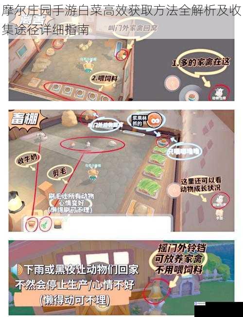 摩尔庄园手游白菜高效获取方法全解析及收集途径详细指南