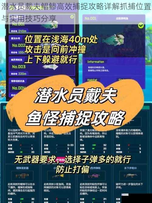 潜水员戴夫鲳鲹高效捕捉攻略详解抓捕位置与实用技巧分享