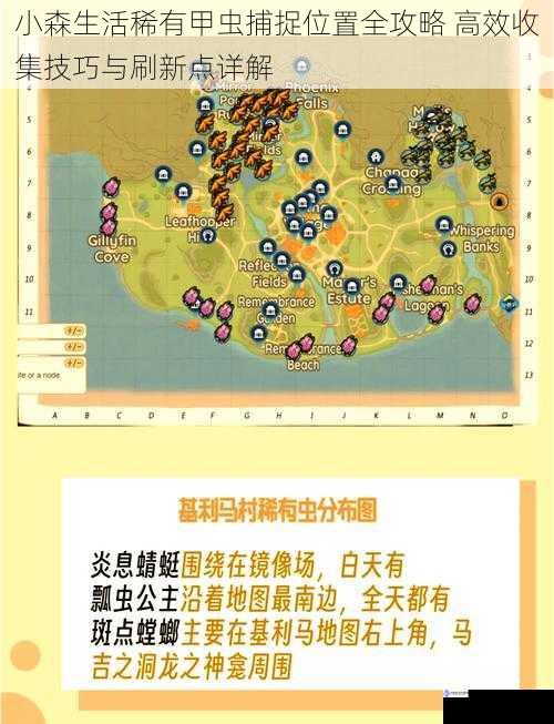 小森生活稀有甲虫捕捉位置全攻略 高效收集技巧与刷新点详解