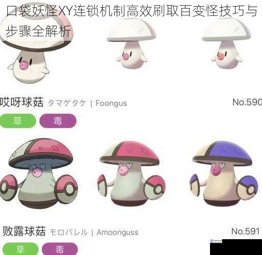 口袋妖怪XY连锁机制高效刷取百变怪技巧与步骤全解析