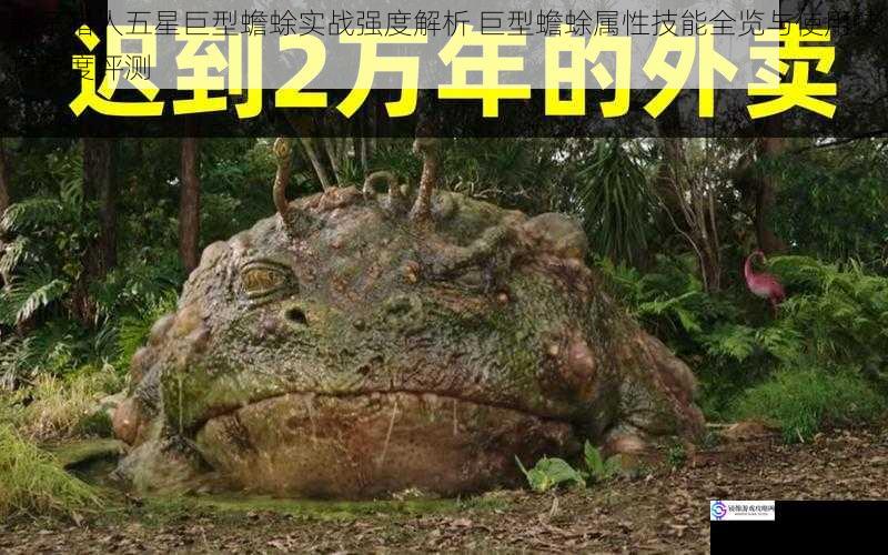 骰子猎人五星巨型蟾蜍实战强度解析 巨型蟾蜍属性技能全览与使用技巧深度评测