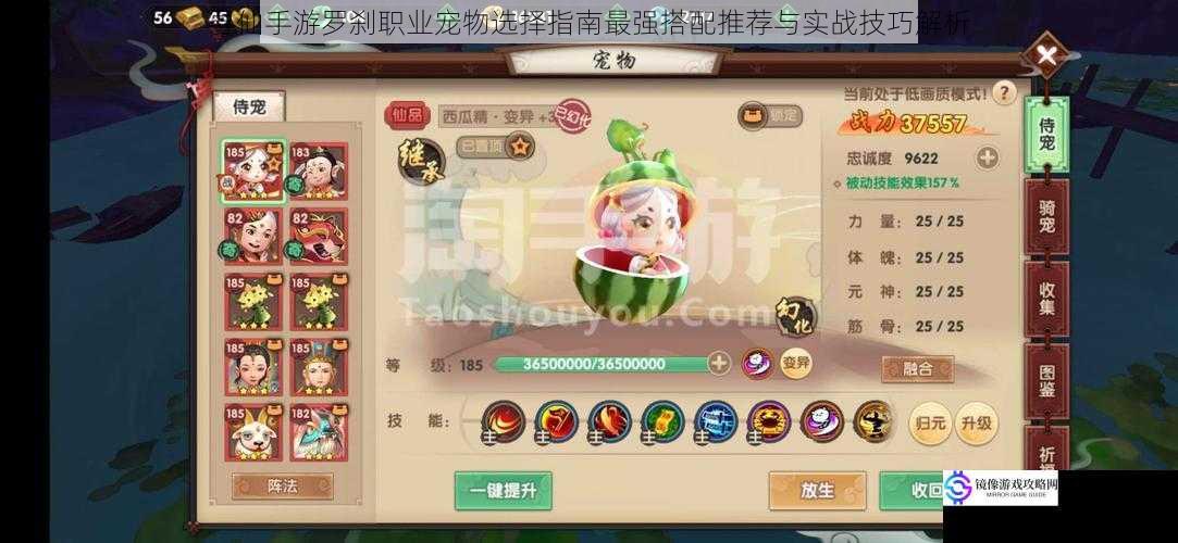 寻仙手游罗刹职业宠物选择指南最强搭配推荐与实战技巧解析