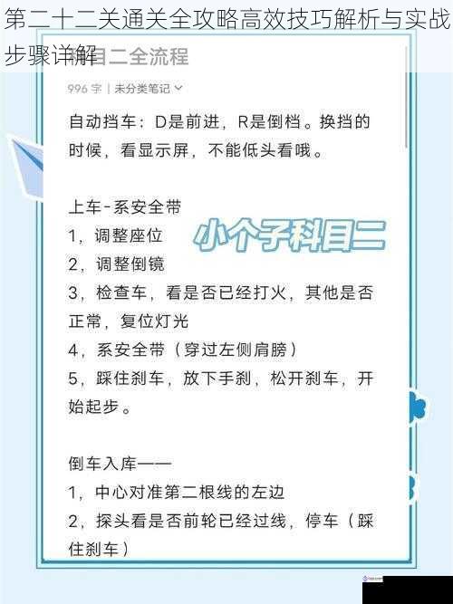 第二十二关通关全攻略高效技巧解析与实战步骤详解