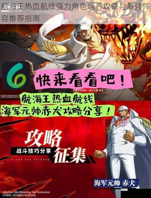 航海王热血航线强力角色培养攻略与最强阵容推荐指南