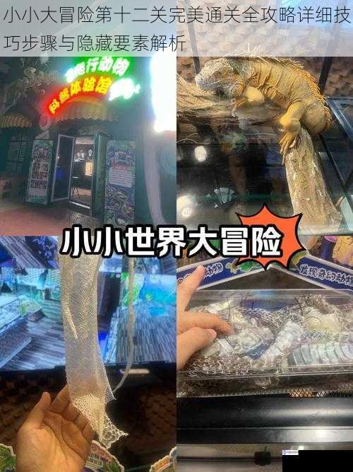 小小大冒险第十二关完美通关全攻略详细技巧步骤与隐藏要素解析