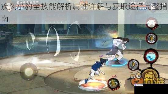 疾风小豹全技能解析属性详解与获取途径完整指南