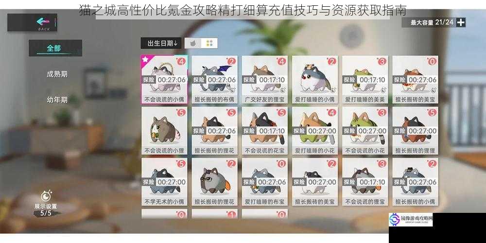 猫之城高性价比氪金攻略精打细算充值技巧与资源获取指南