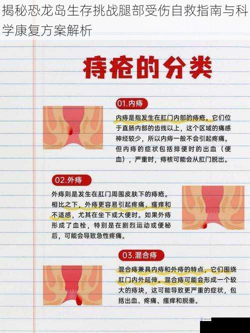 揭秘恐龙岛生存挑战腿部受伤自救指南与科学康复方案解析