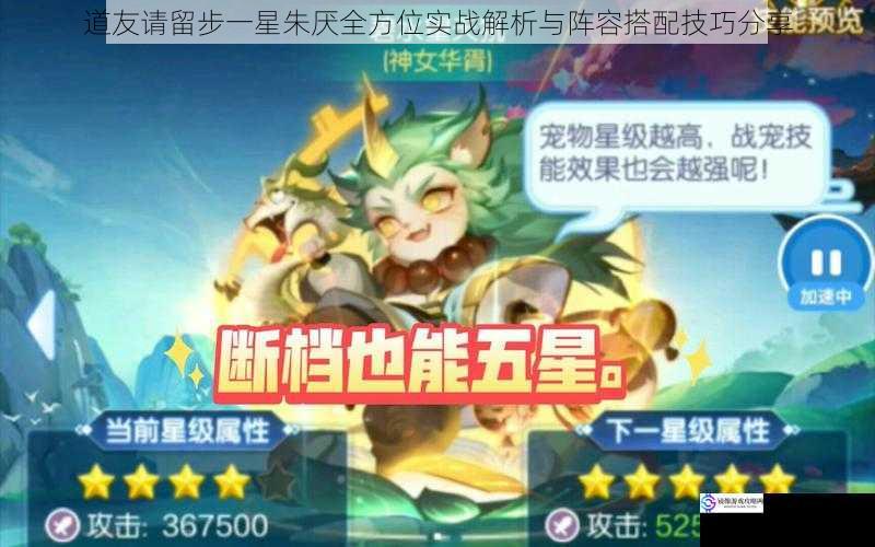 道友请留步一星朱厌全方位实战解析与阵容搭配技巧分享