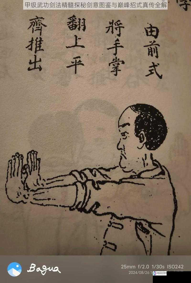 甲级武功剑法精髓探秘剑意图鉴与巅峰招式真传全解
