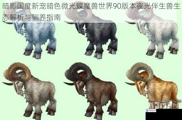 暗影国度新宠暗色微光蝶魔兽世界90版本夜光伴生兽生态解析与驯养指南