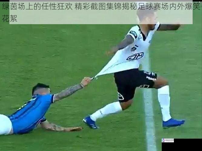 绿茵场上的任性狂欢 精彩截图集锦揭秘足球赛场内外爆笑花絮