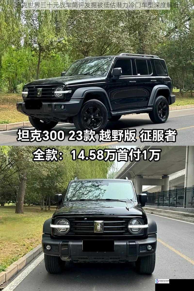 坦克世界三十元战车简评发掘被低估潜力冷门车型深度解析