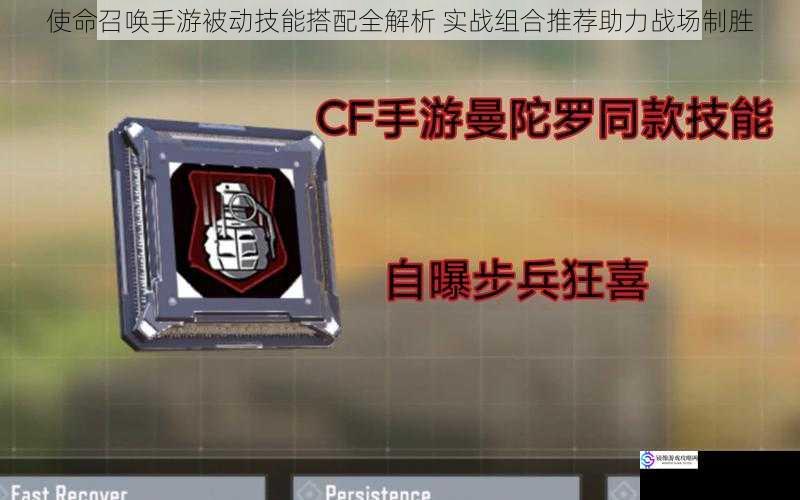 使命召唤手游被动技能搭配全解析 实战组合推荐助力战场制胜