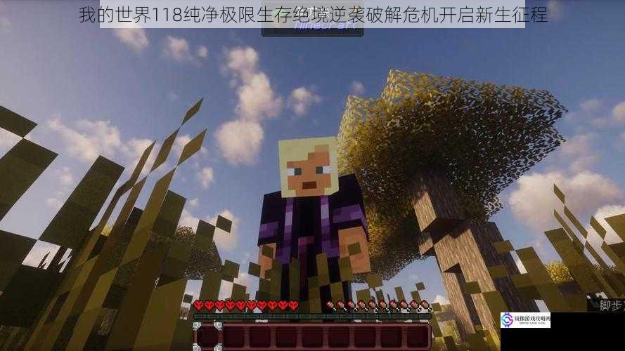我的世界118纯净极限生存绝境逆袭破解危机开启新生征程
